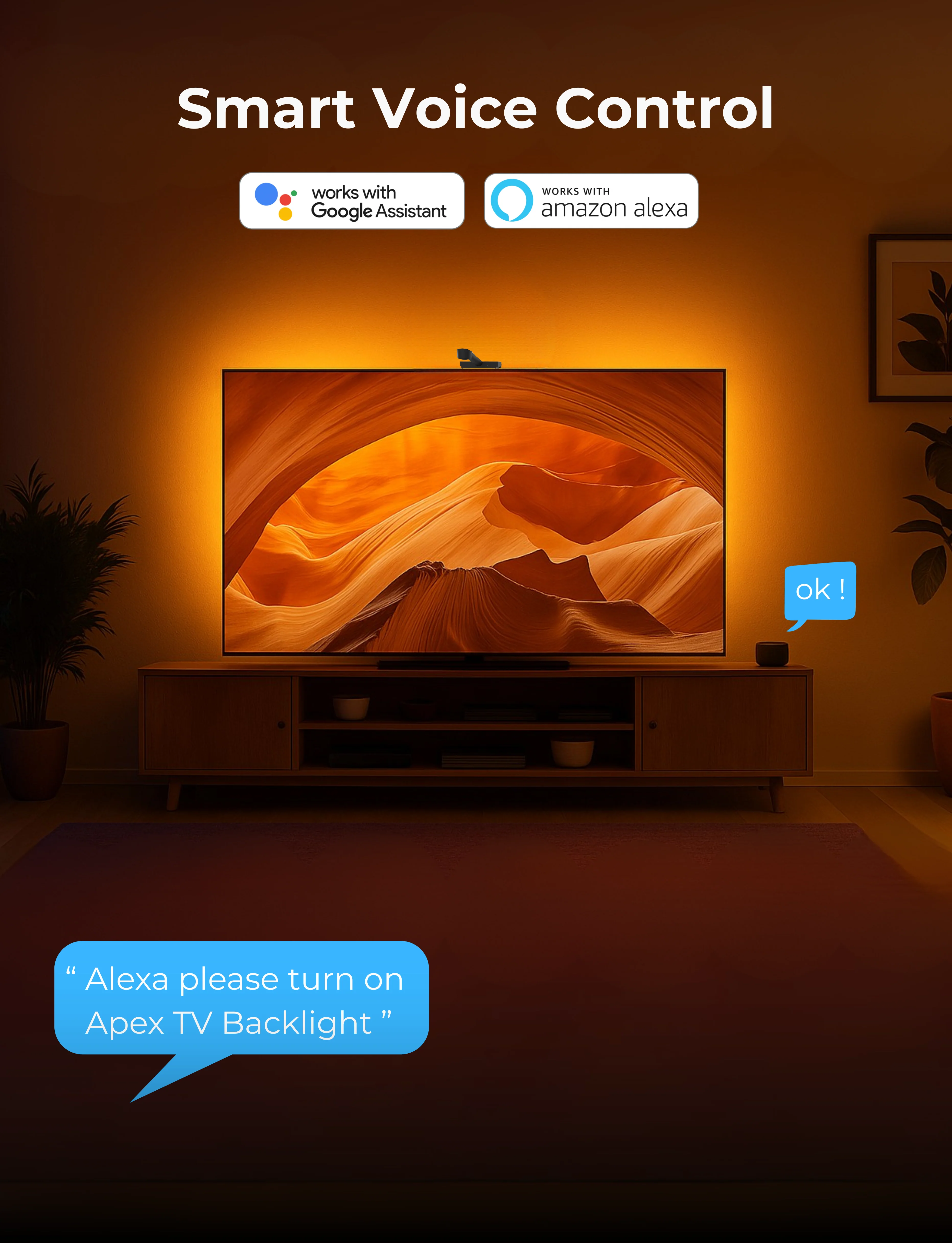 Apex Camera TV Backlight (only for 55 inch) - Image 5