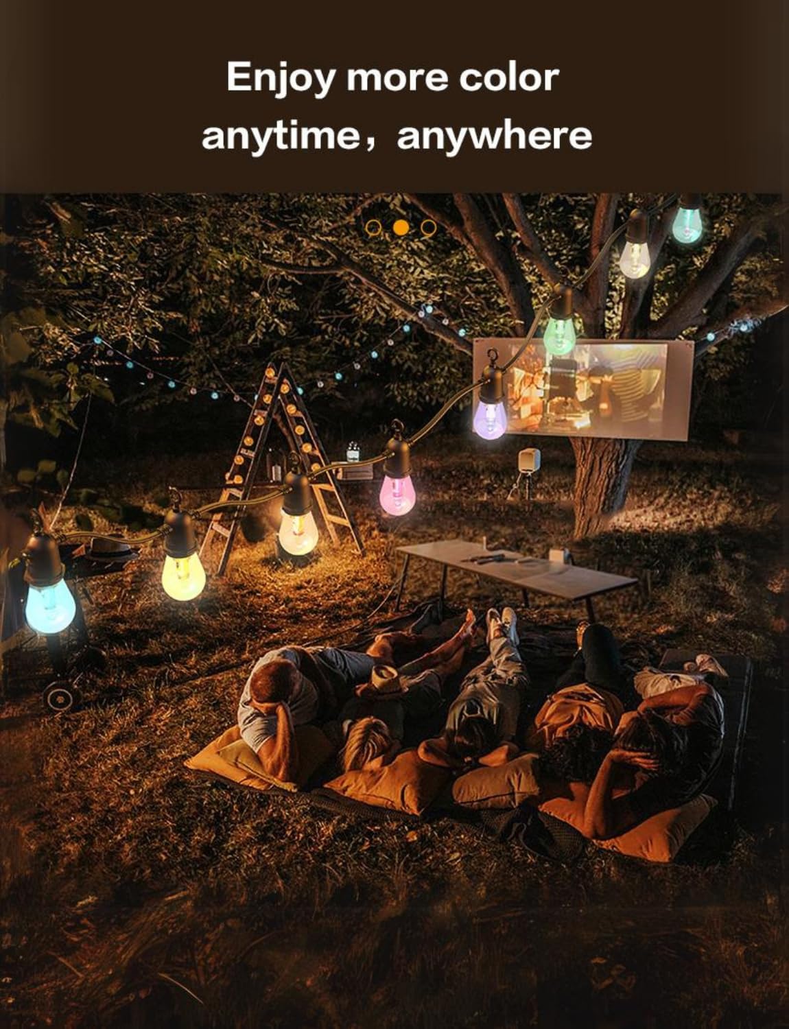 Apex Smart Outdoor Bulb Lights - Image 4